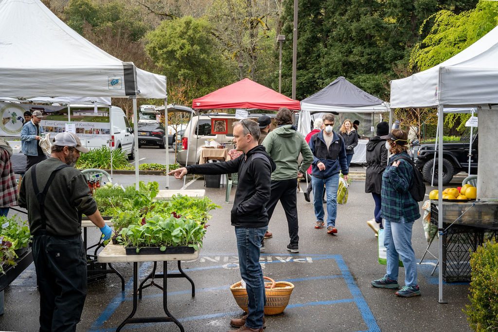 Calistoga Farmers Market